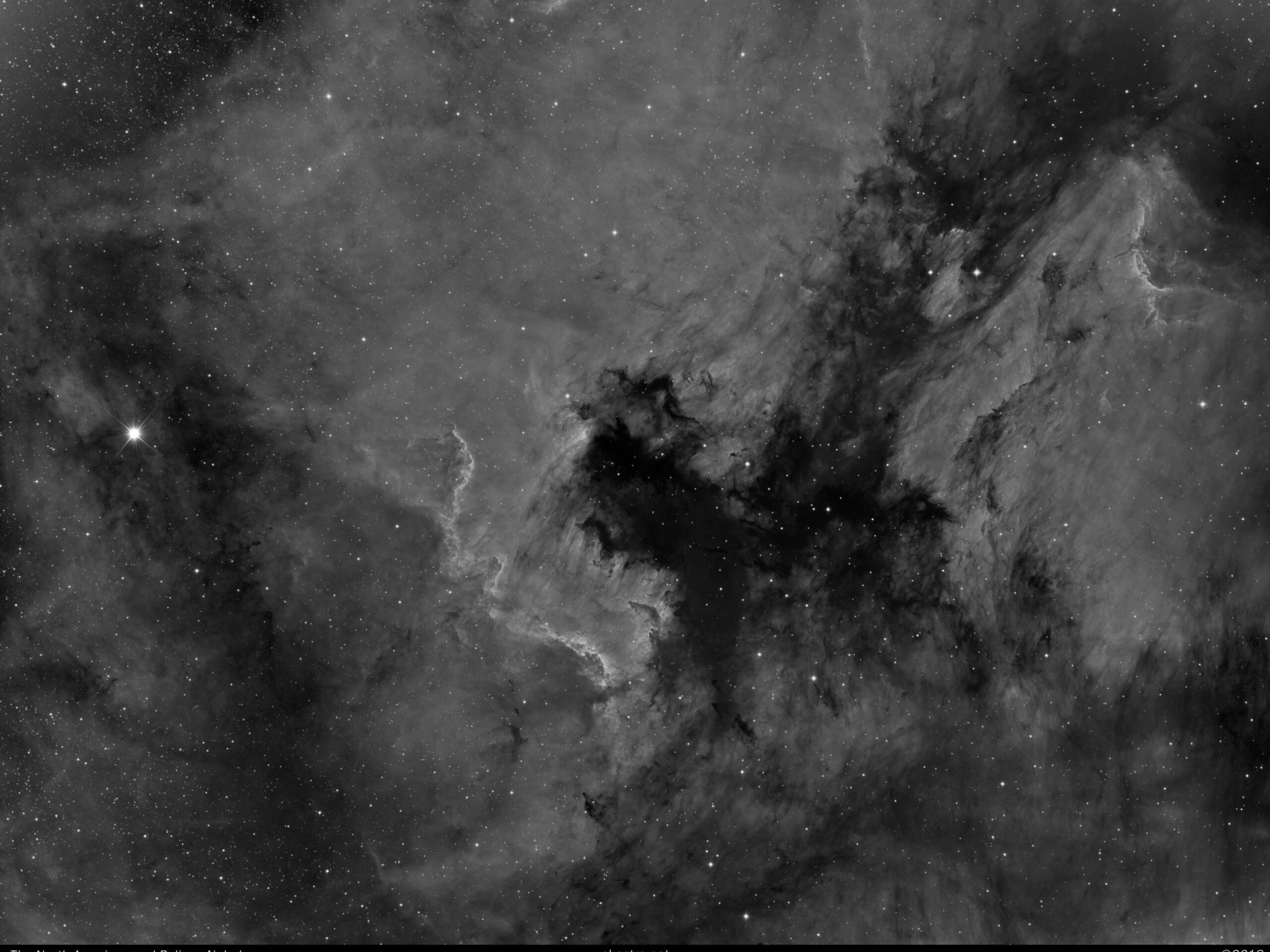North American Nebula