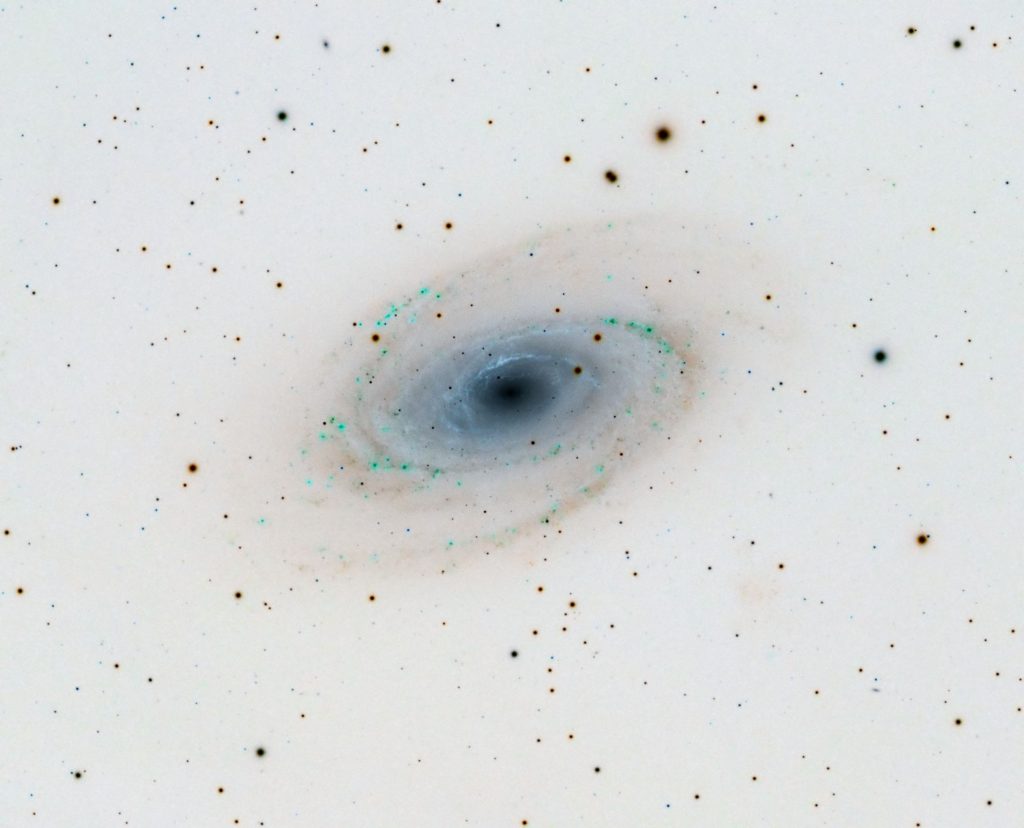 M81 HaLRGB Inverted