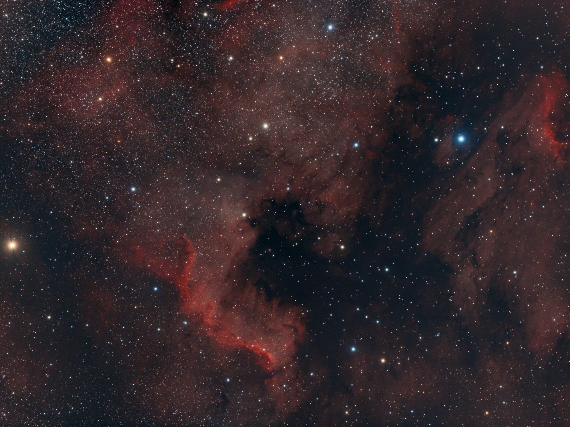 Complete_OSC_NAN_smaller