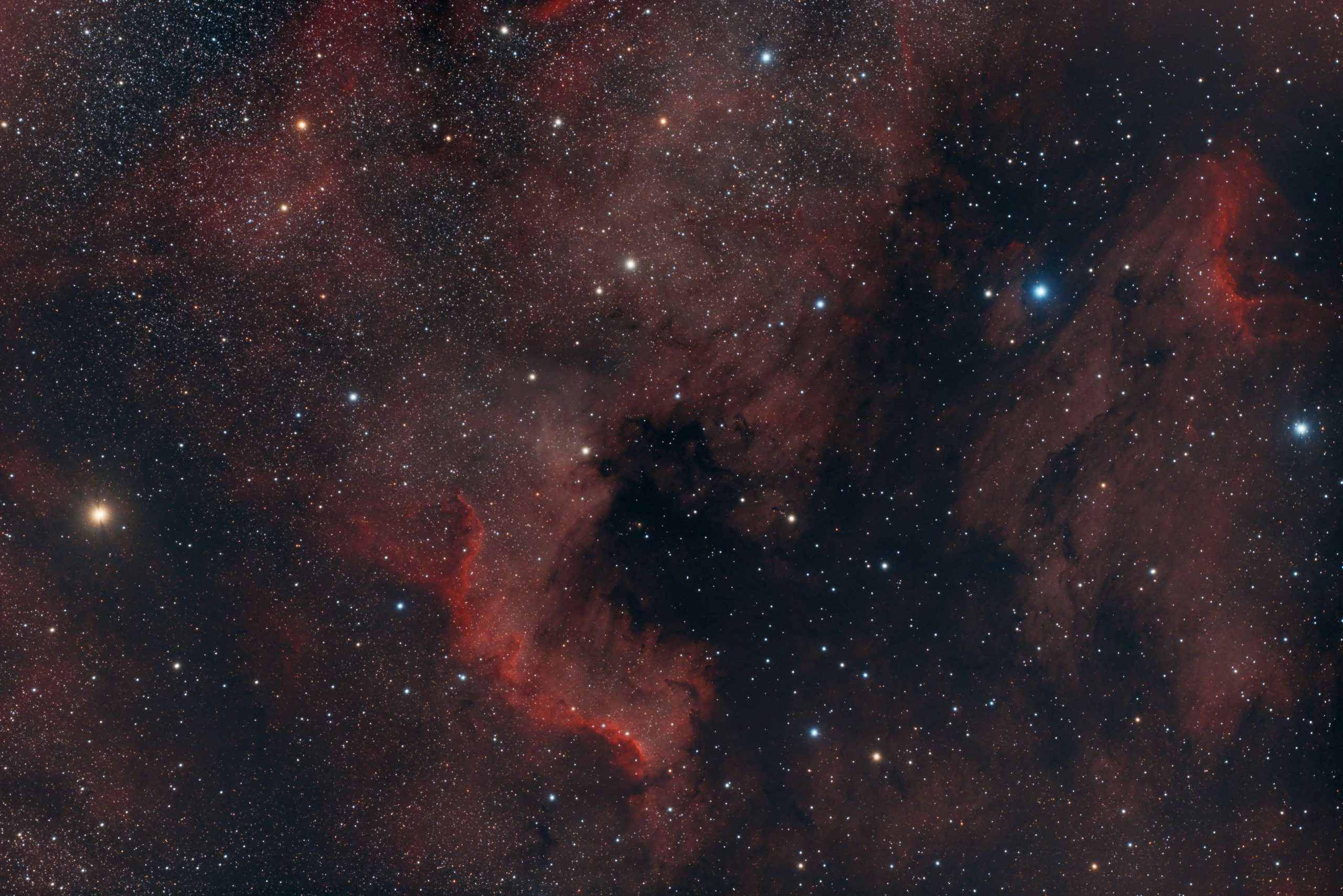 Complete_OSC_NAN_smaller