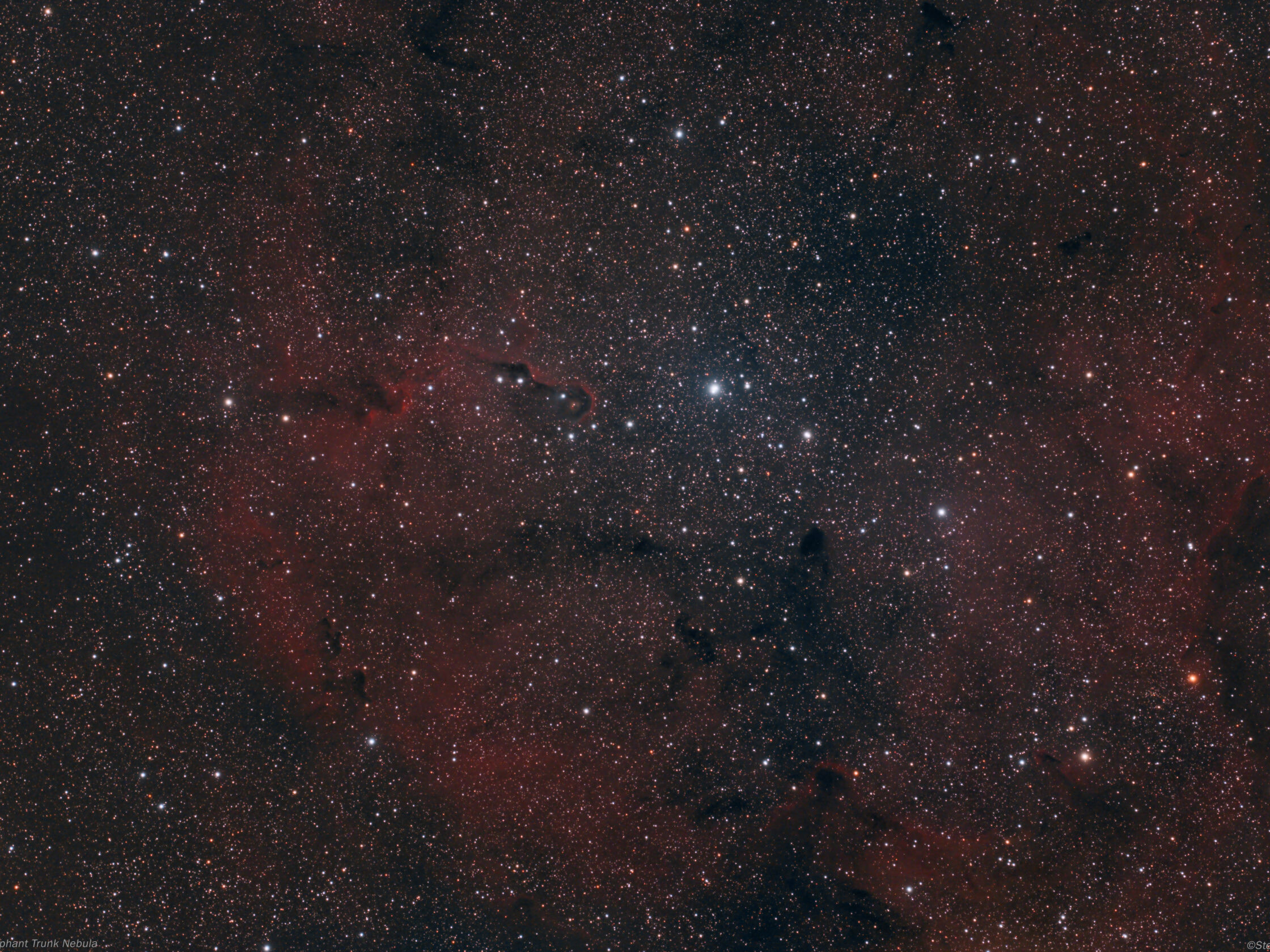 The Elephant Trunk Nebula
