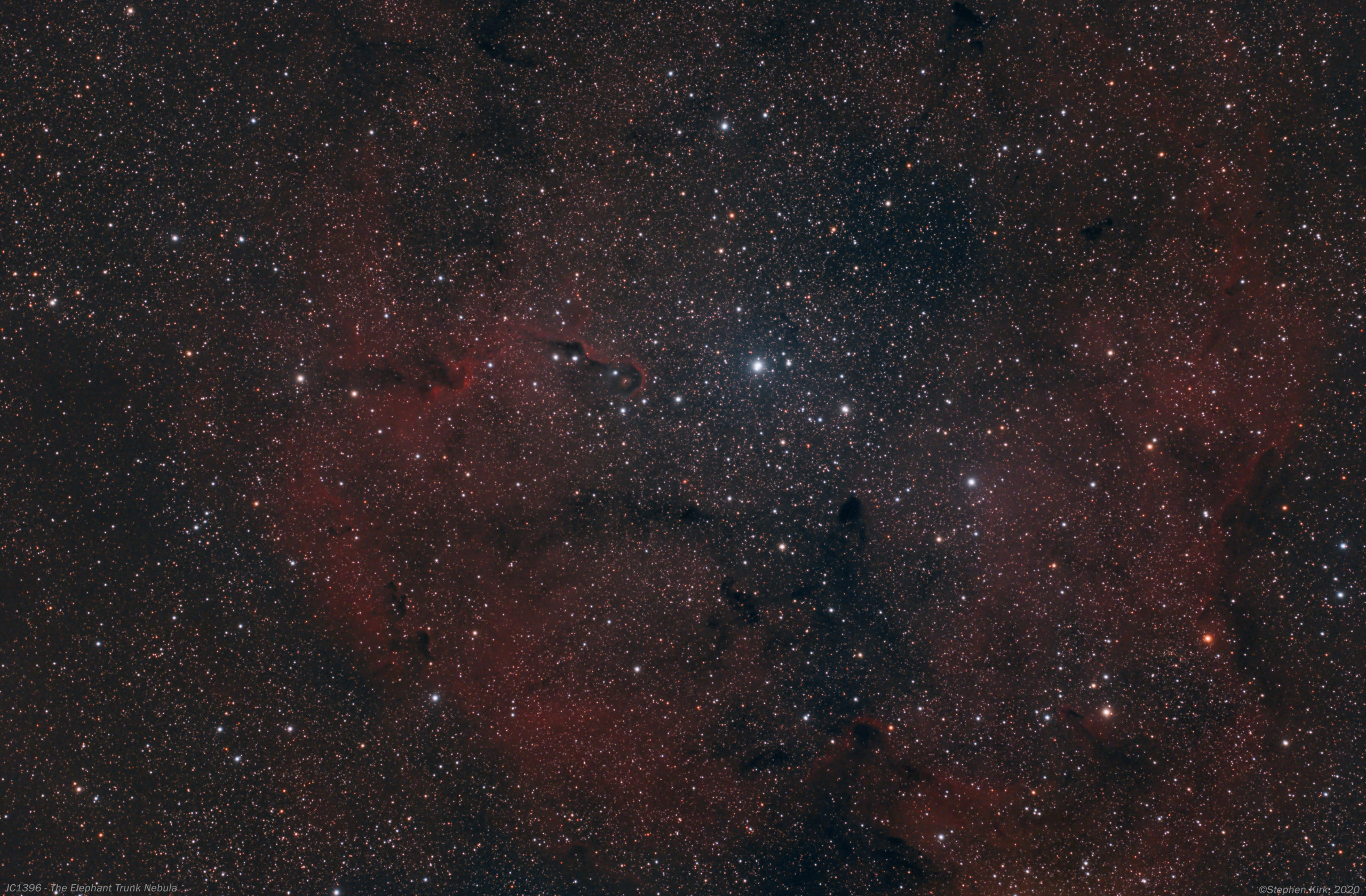 The Elephant Trunk Nebula