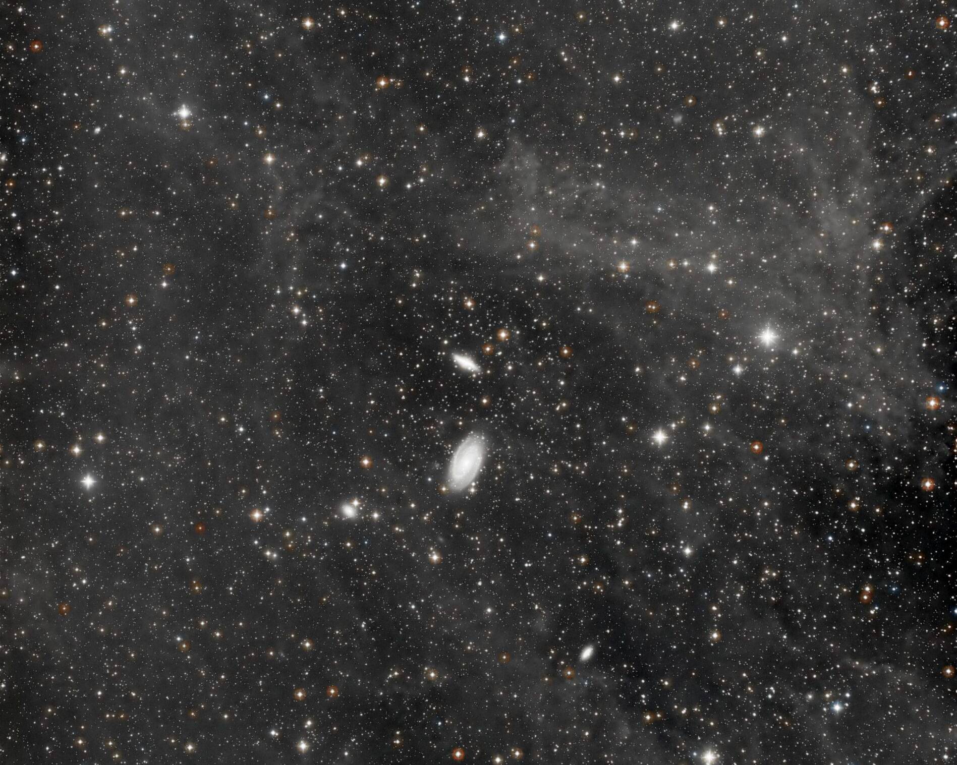 M81 Very Wide Field