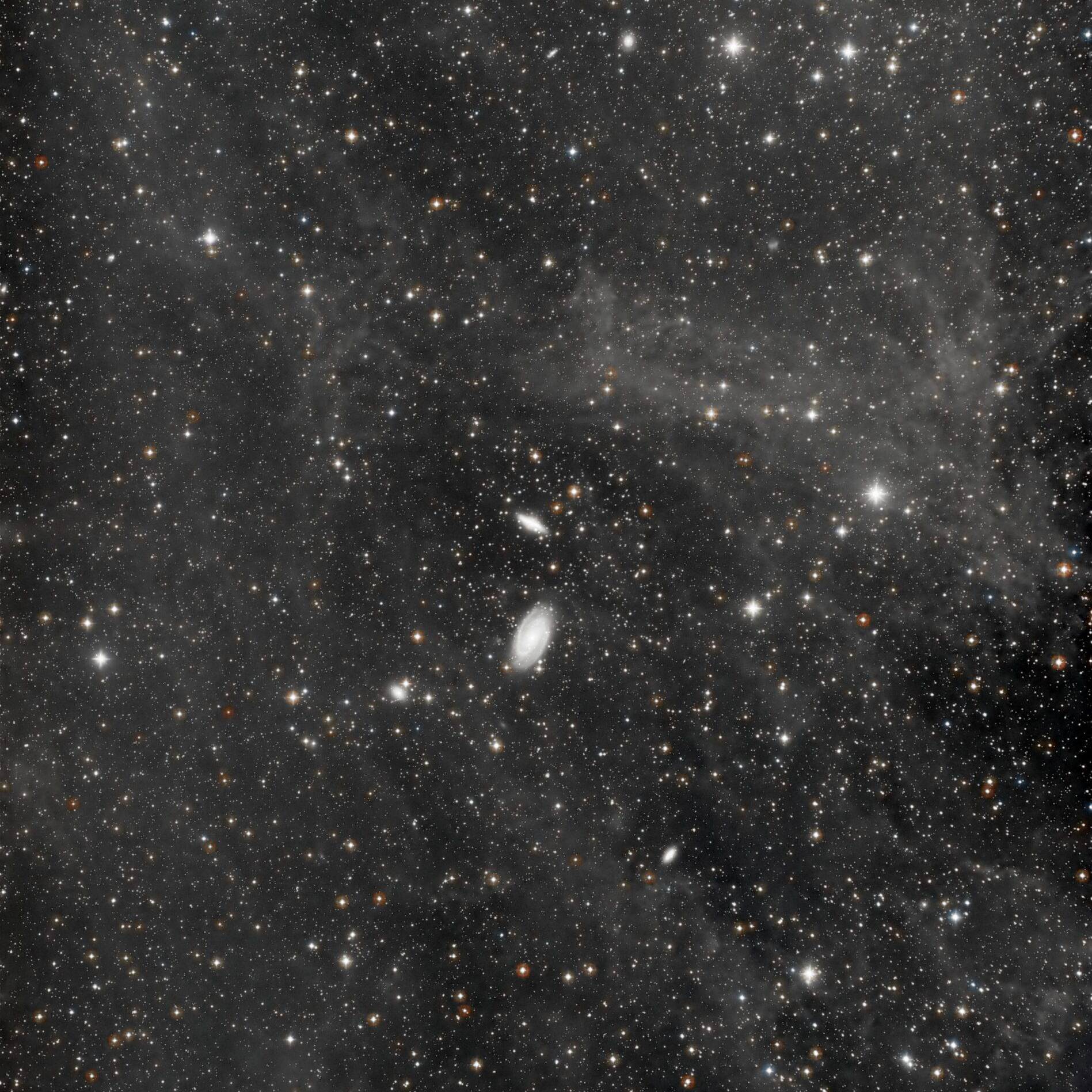 M81 Very Wide Field