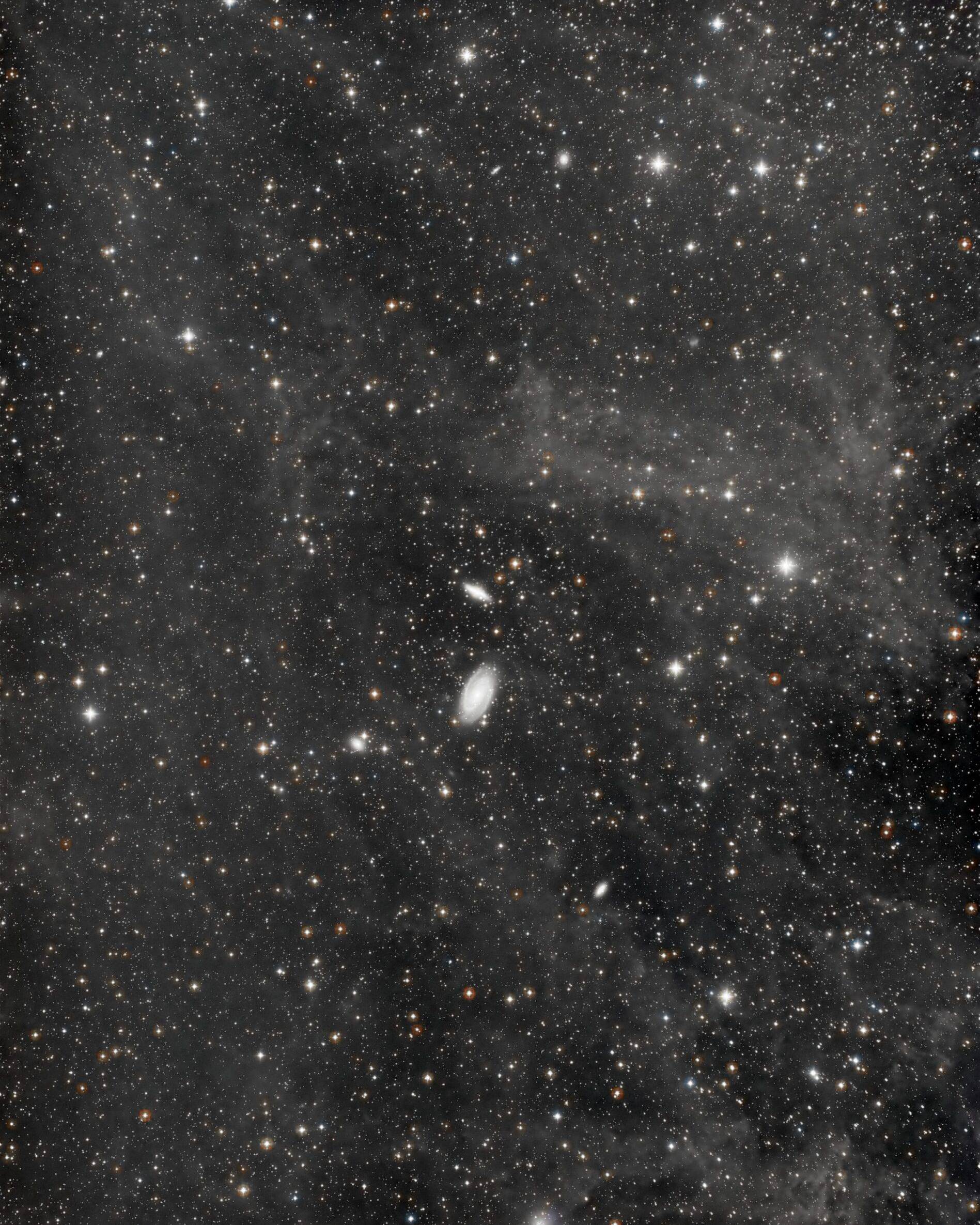 M81 Very Wide Field