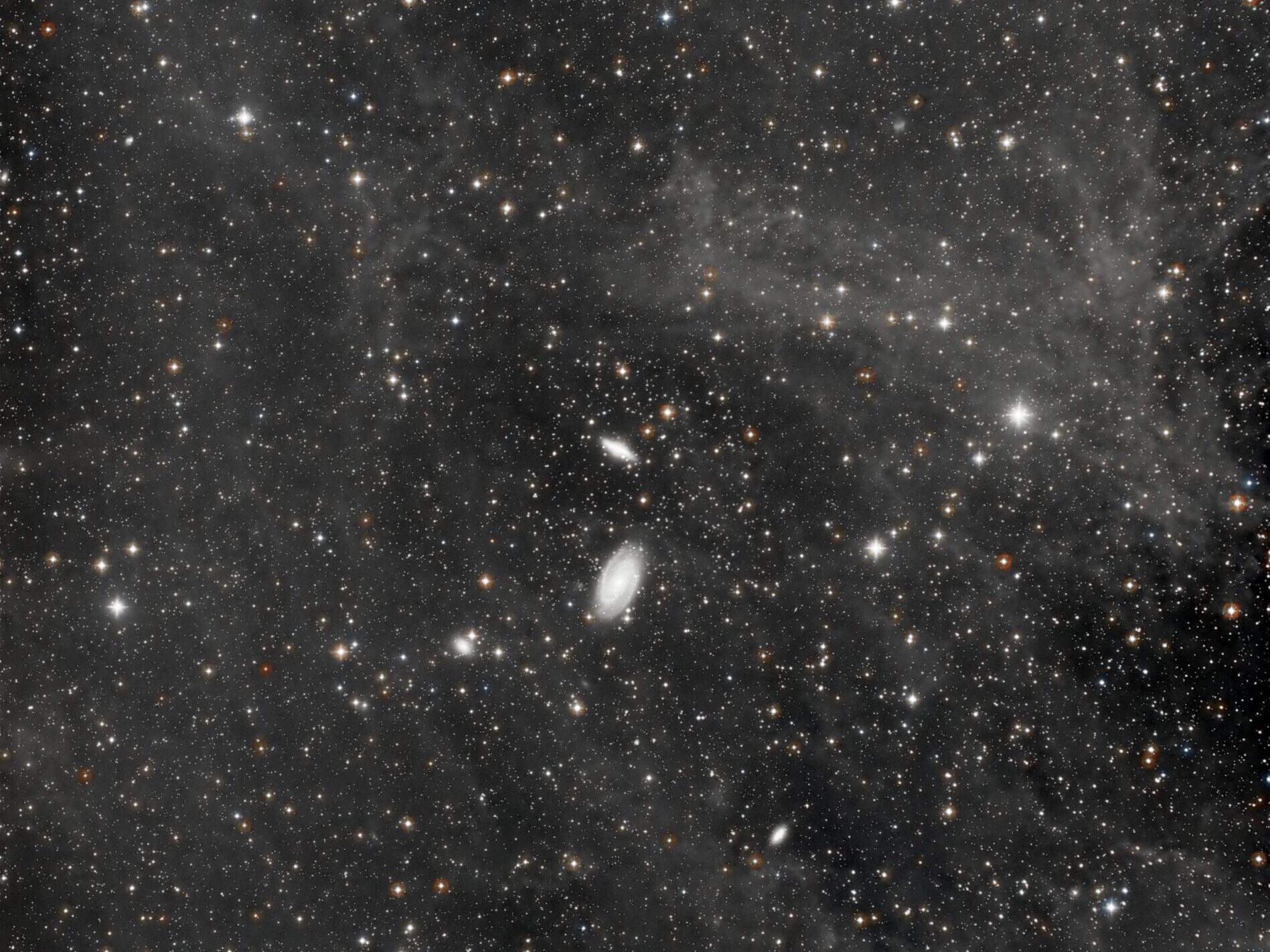 M81 Very Wide Field