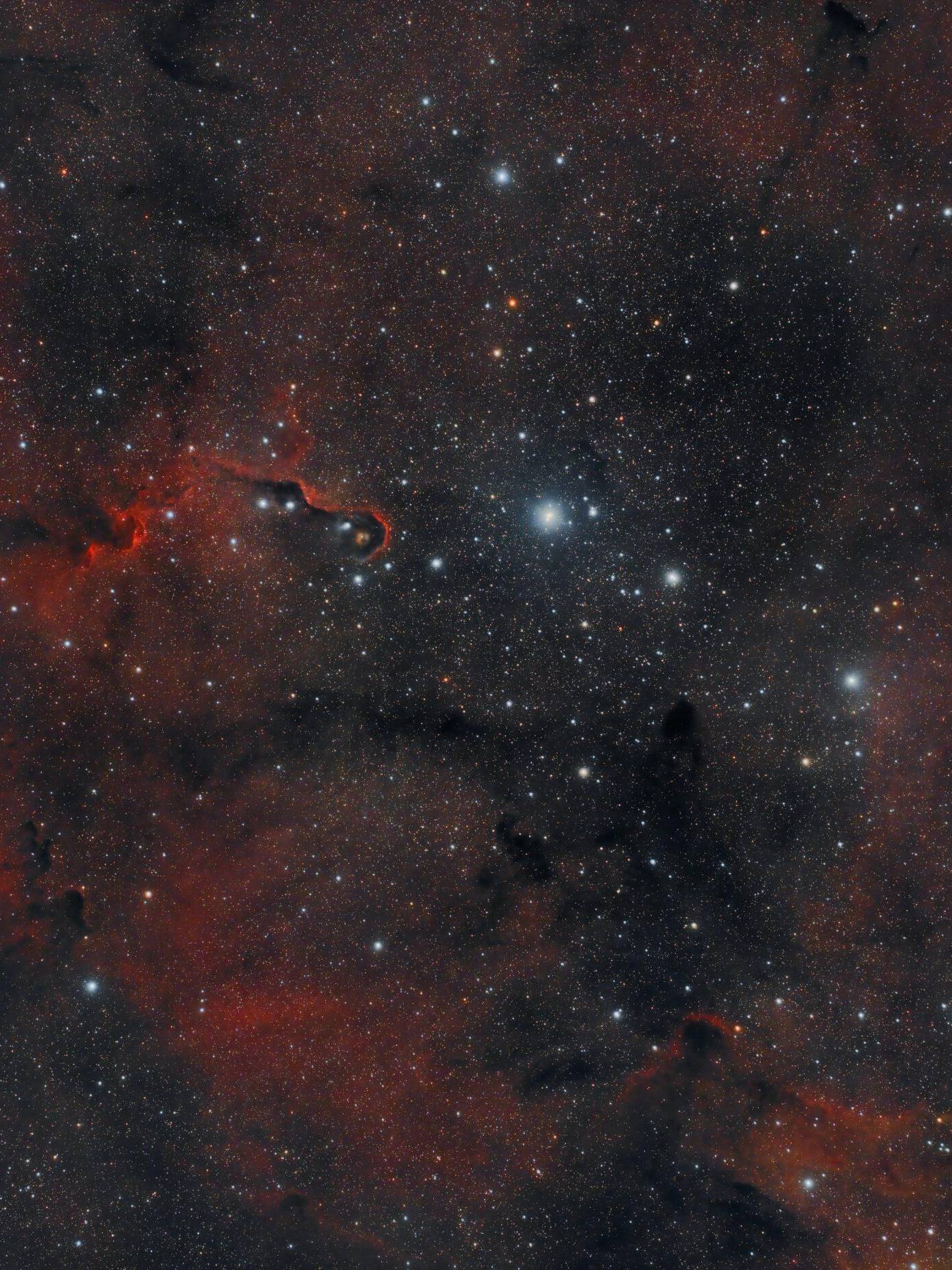 IC_1396_In A Wide Field