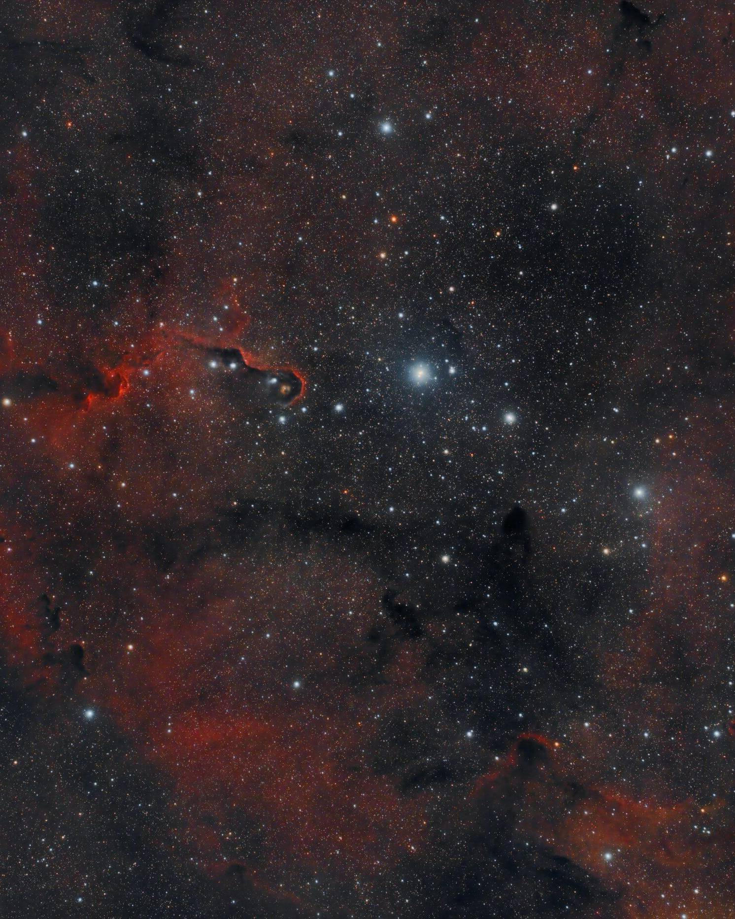 IC_1396_In A Wide Field