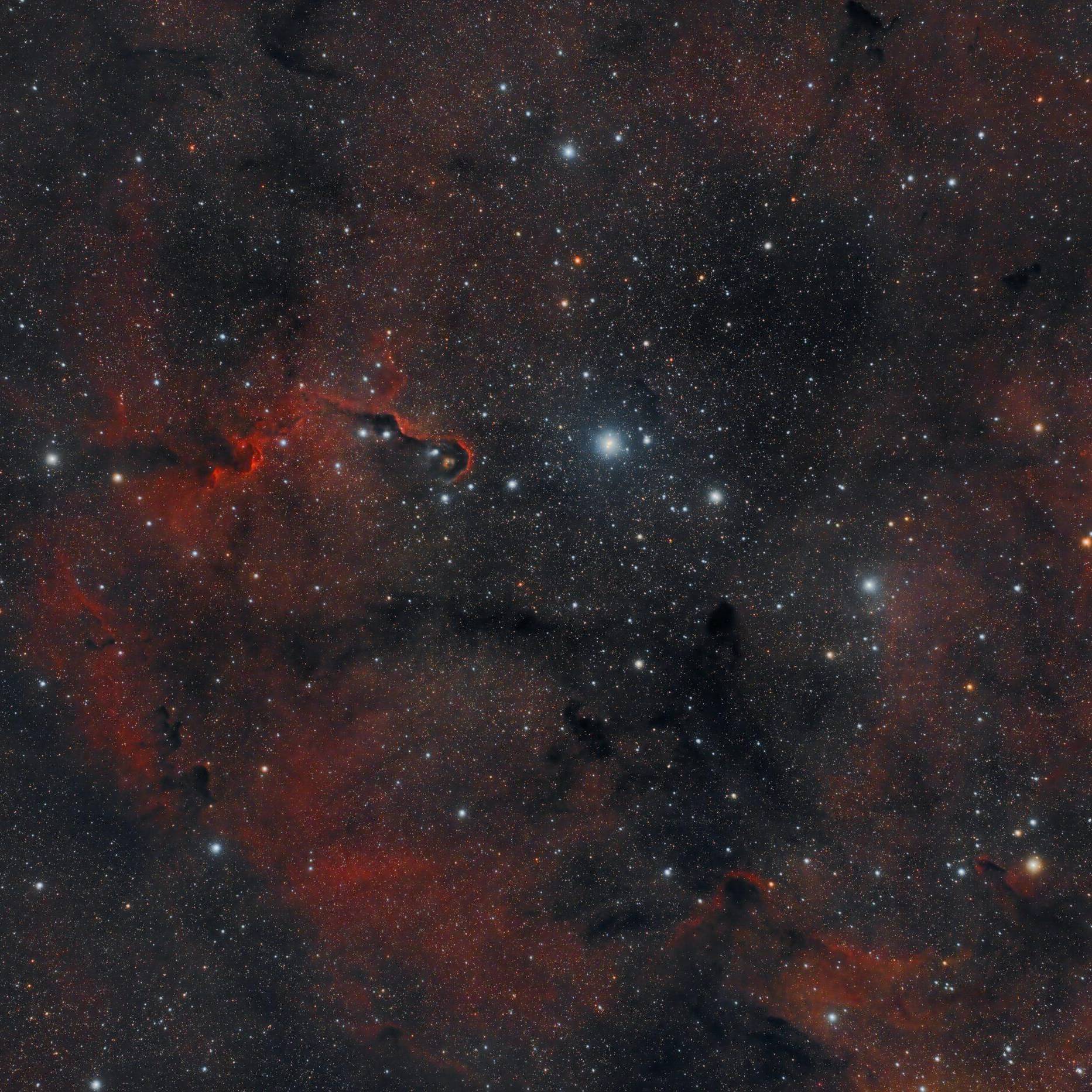 IC_1396_In A Wide Field