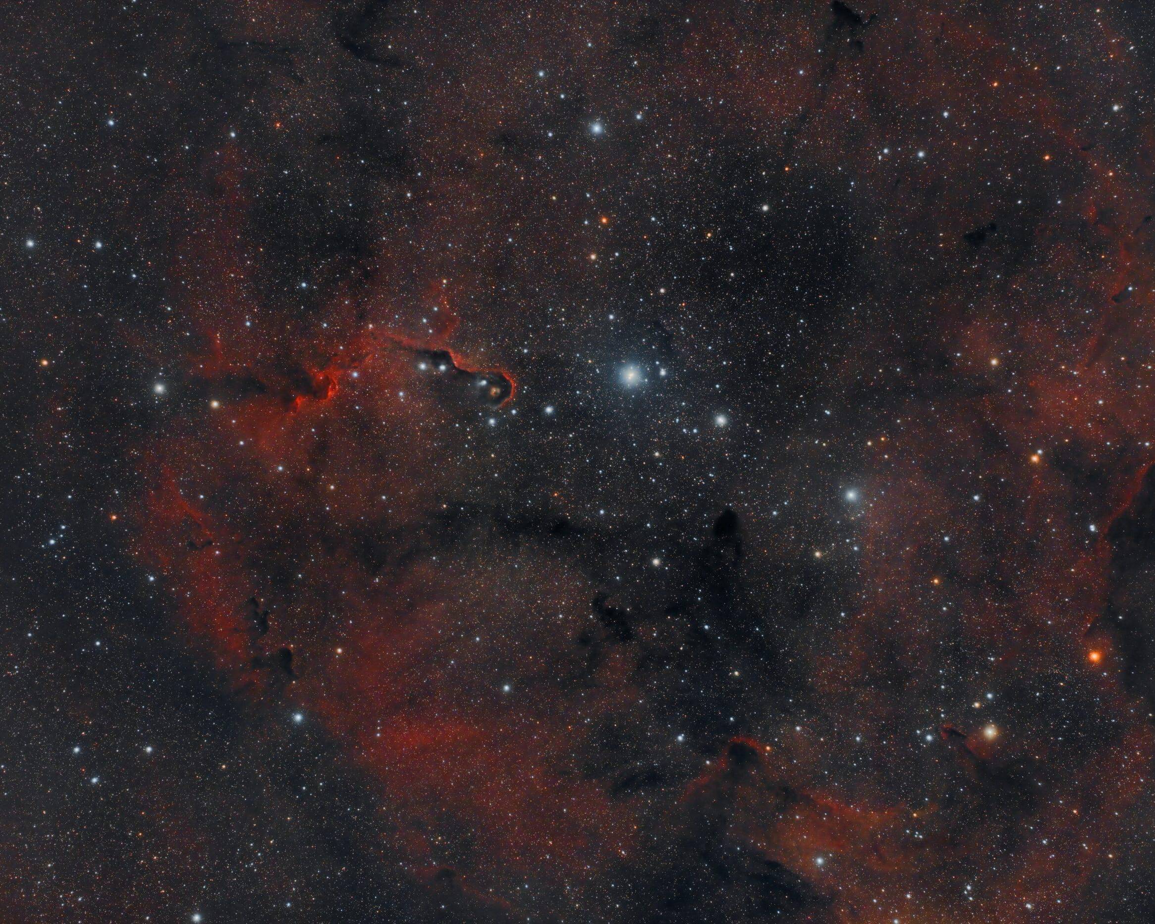 IC_1396_In A Wide Field