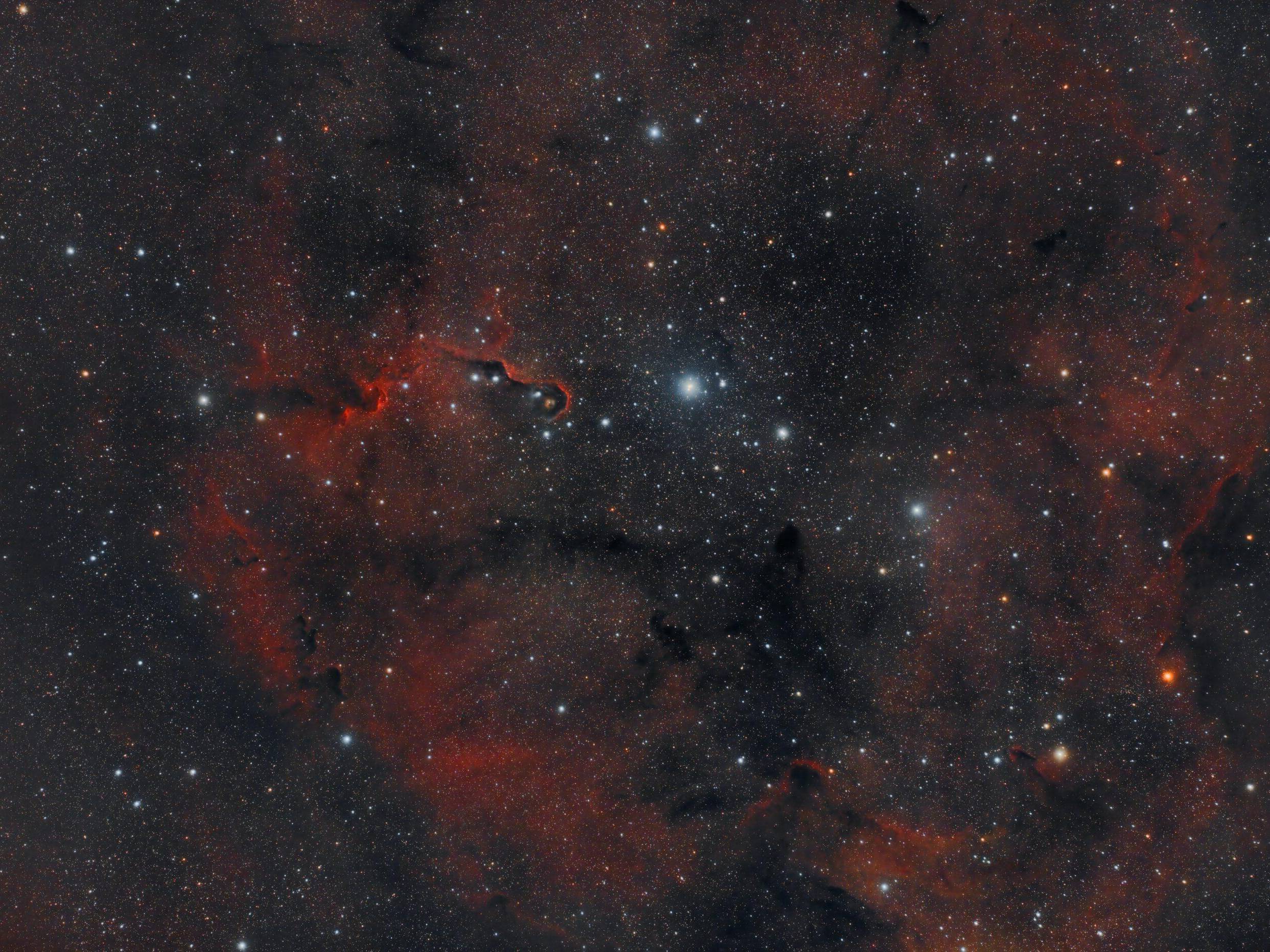 IC_1396_In A Wide Field