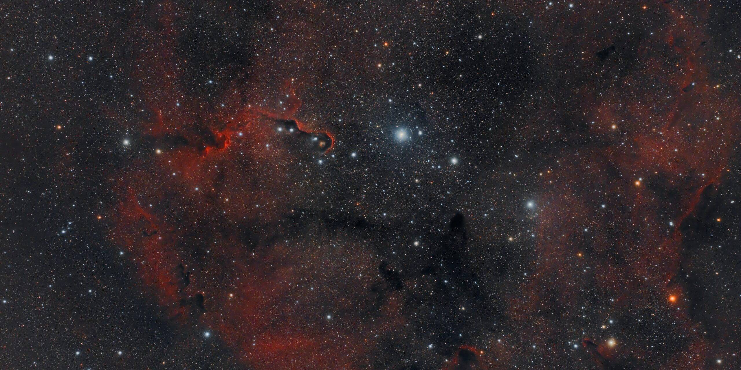 IC_1396_In A Wide Field