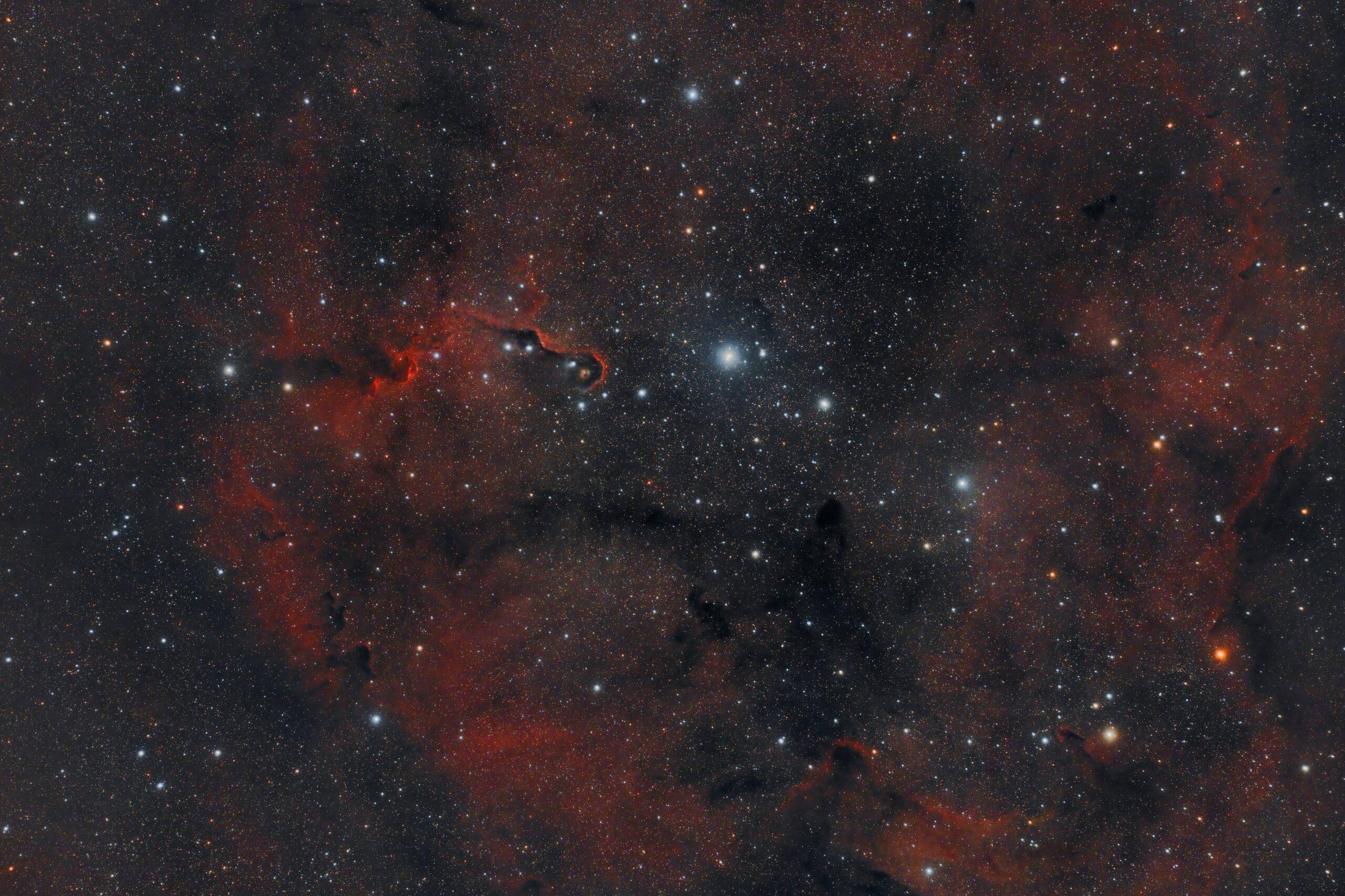 IC_1396_In A Wide Field