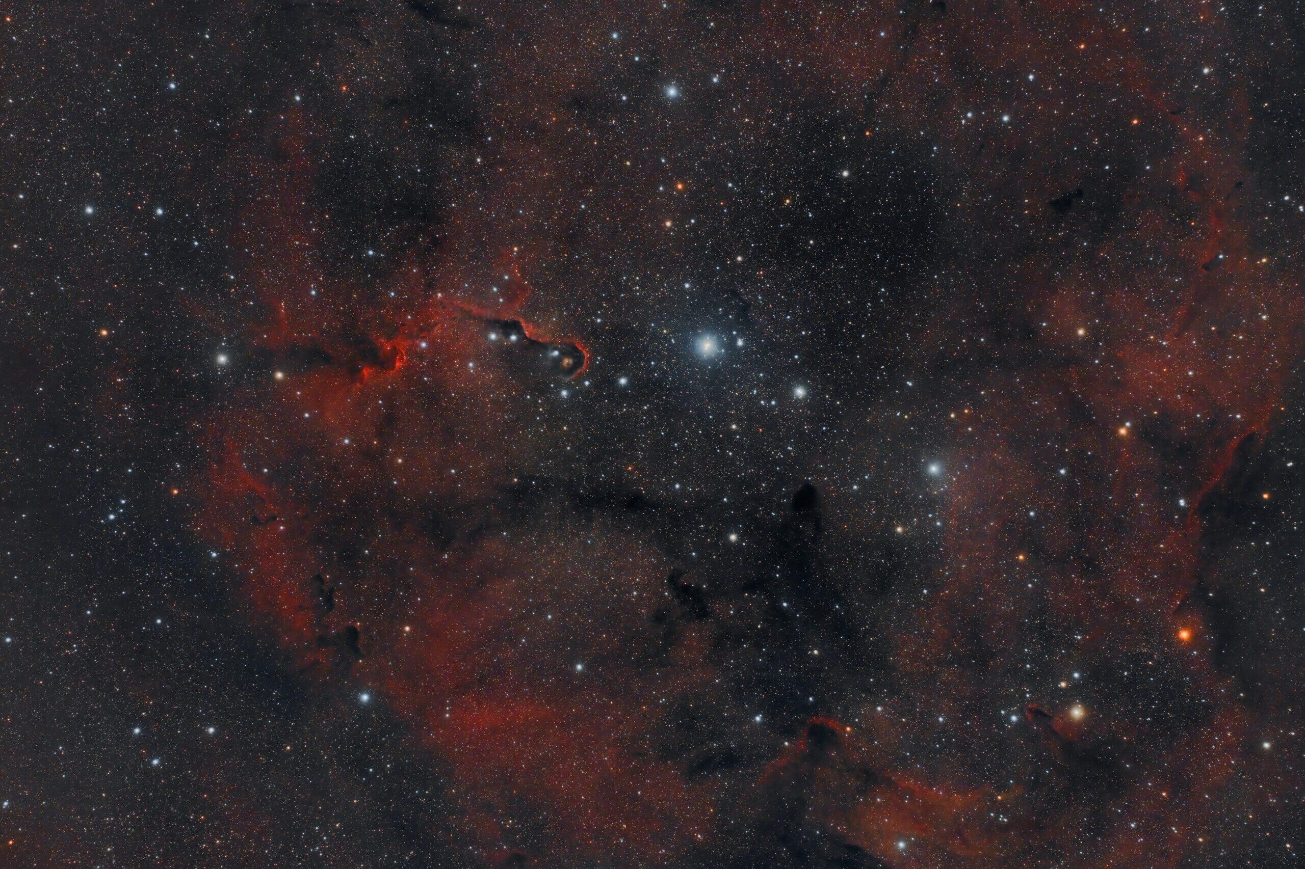 IC_1396_In A Wide Field